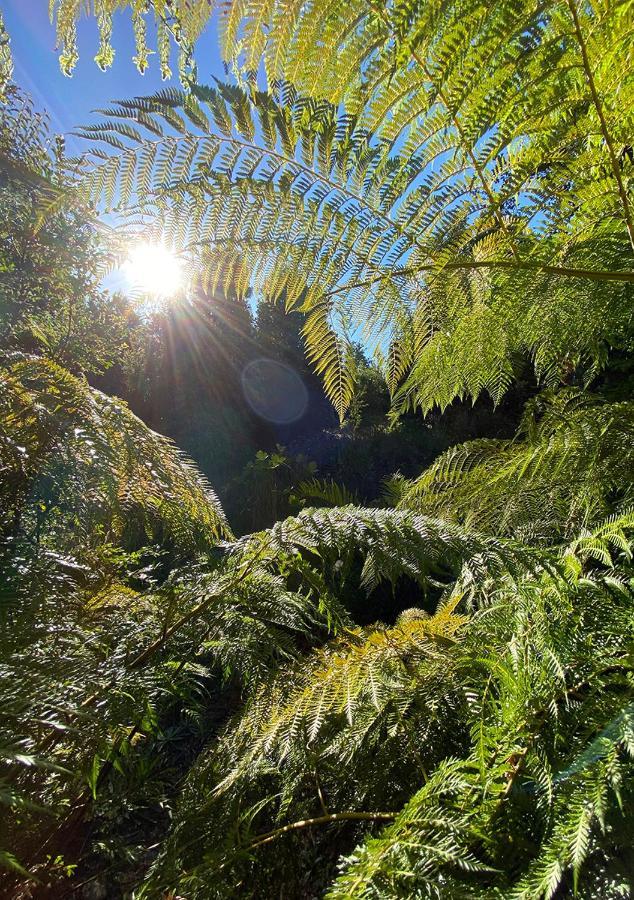 Cabanas Los Cantos Del Chucao Puerto Varas Dış mekan fotoğraf