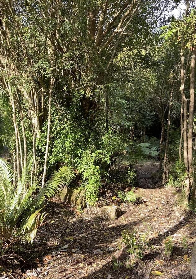 Cabanas Los Cantos Del Chucao Puerto Varas Dış mekan fotoğraf